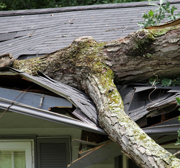 Home 12 Emergency Roof Repairs in Hiram GA